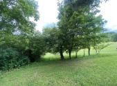 Prodej pozemku, ostatní, 343 m²