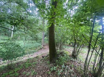Prodej pozemku, ostatní, 576 m²