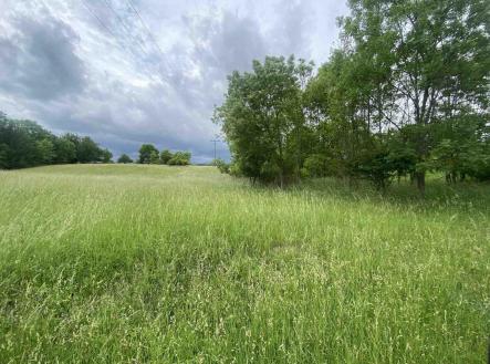 Prodej pozemku, zemědělská půda, 12 772 m²