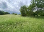 Prodej pozemku, zemědělská půda, 12 772 m²