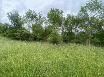 Prodej pozemku, zemědělská půda, 12 772 m²