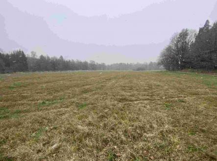 Prodej pozemku, ostatní, 16 799 m²