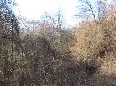Prodej pozemku, zahrada, 1 700 m²