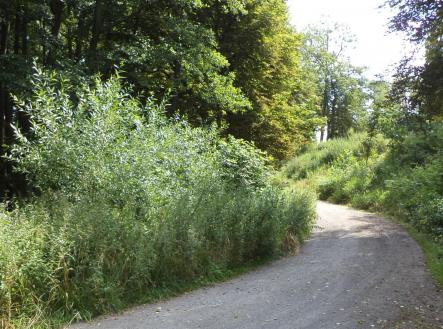 Prodej pozemku, ostatní, 1 046 m²