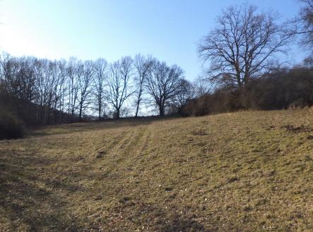 Prodej pozemku, zemědělská půda, 7 345 m² obrázek