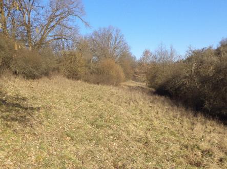 Prodej pozemku, zemědělská půda, 7 345 m²