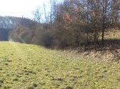 Prodej pozemku, zemědělská půda, 5 161 m²