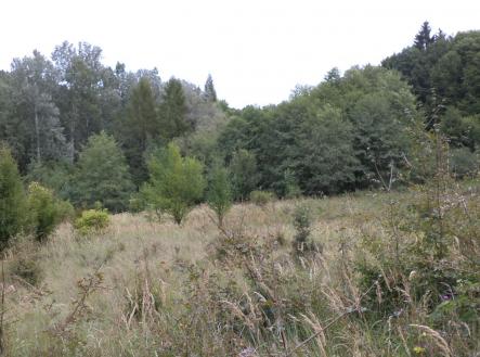 Prodej pozemku, zemědělská půda, 1 953 m²