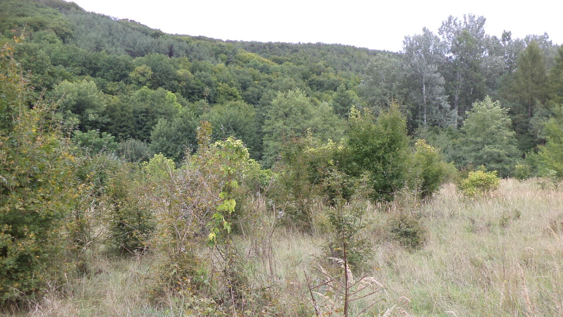 Dražba pozemek Traplice