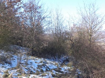 Prodej pozemku, zemědělská půda, 18 942 m²