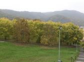 Prodej pozemku, ostatní, 450 m²