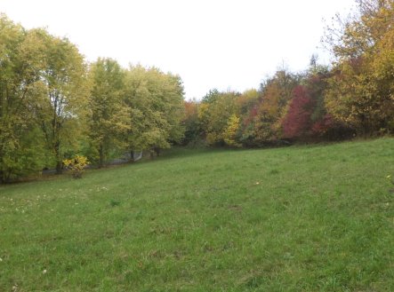Nemovitost