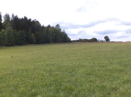 Nemovitost