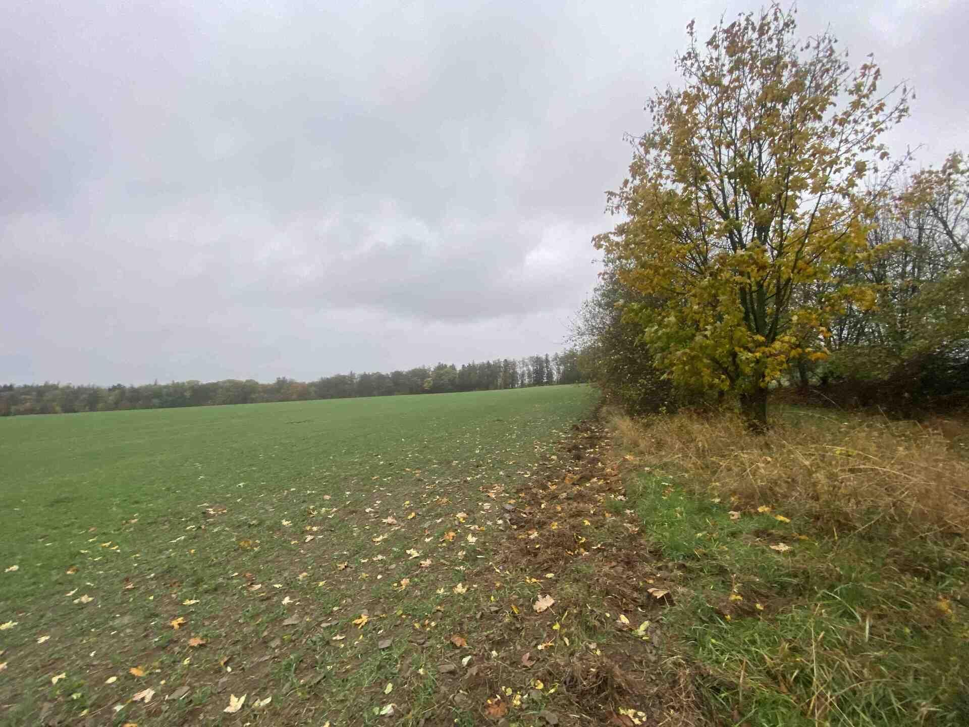Prodej pozemků Hrochov, obec Lipová