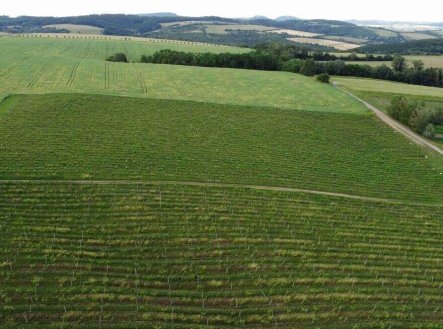 Prodej pozemku, ostatní, 2 077 m²