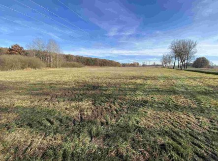 Prodej pozemku, zemědělská půda, 2 663 m²
