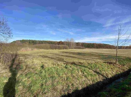 Prodej pozemku, zemědělská půda, 2 663 m²