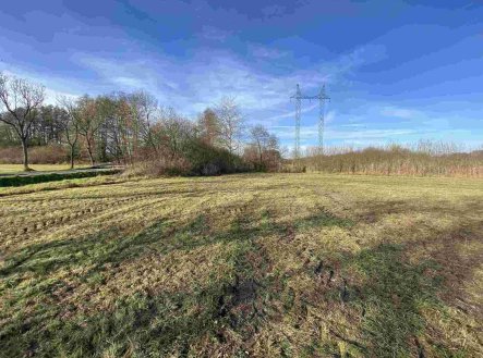 Prodej pozemku, zemědělská půda, 2 663 m²