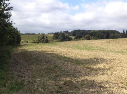 Prodej pozemku, zemědělská půda, 925 m²