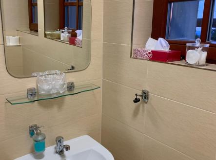 prodej apartmánu v Beskydech - Velký Javorník (20)