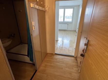 Pronájem bytu, 1+kk, 26 m²