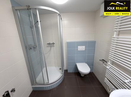 Pronájem bytu, 1+kk, 45 m²