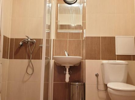 Pronájem bytu, 1+1, 41 m²