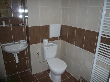 Pronájem bytu, 1+1, 41 m²