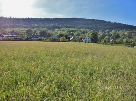 Prodej pozemku pro bydlení, 8 100 m²