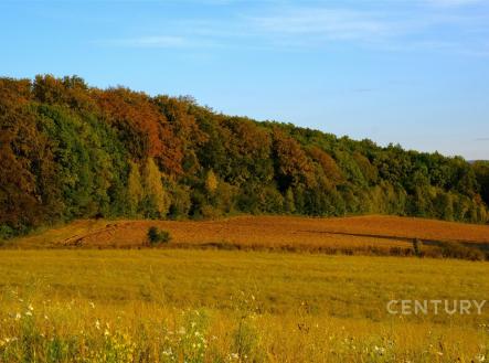 Prodej pozemku pro bydlení, 8 100 m²
