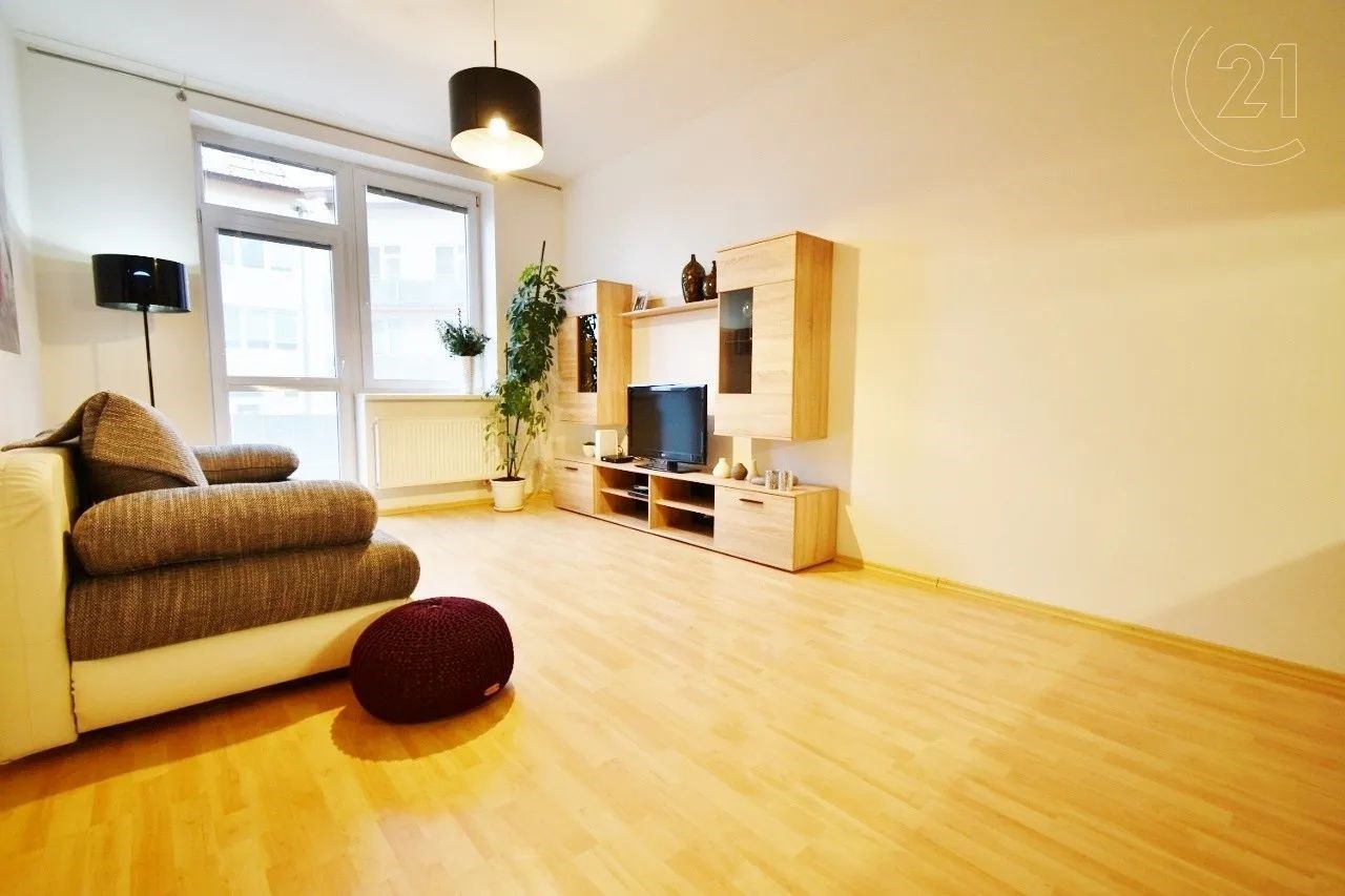 obývací pokoj s přirozené světlo, televize, a dřevěná podlaha