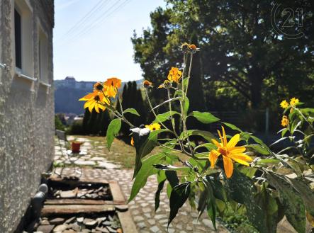 Prodej domu/vily, 340 m²