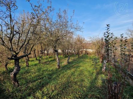 Prodej pozemku pro bydlení, 508 m²