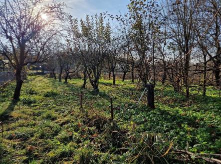 Prodej pozemku pro bydlení, 508 m²