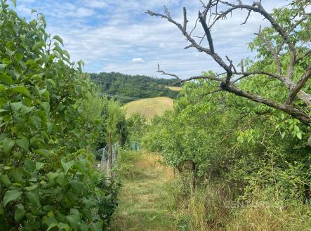 Prodej pozemku, zahrada, 1 358 m²