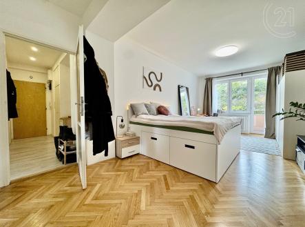 Pronájem bytu, 2+1, 53 m²