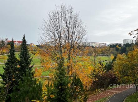 Pronájem bytu, 4+1, 80 m²