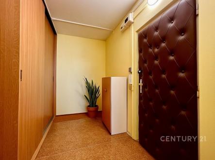 Pronájem bytu, garsoniéra, 67 m²