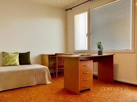 Pronájem bytu, garsoniéra, 67 m²