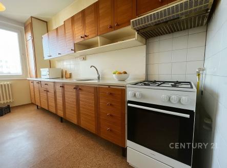 Pronájem bytu, garsoniéra, 67 m²