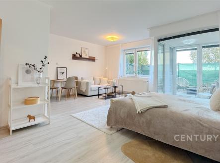 Pronájem bytu, 1+kk, 40 m²