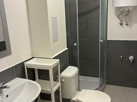 Pronájem bytu, 1+kk, 31 m²
