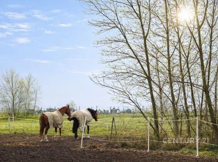 Prodej pozemku pro bydlení, 1 707 m²