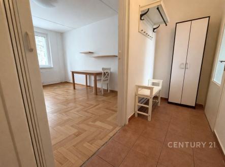 Pronájem bytu, 1+1, 36 m²