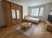 Pronájem bytu, 1+1, 36 m²