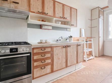 Pronájem bytu, garsoniéra, 85 m²