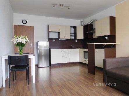 Pronájem bytu, 2+kk, 65 m²