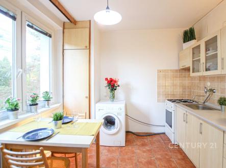 Pronájem bytu, 1+1, 30 m²