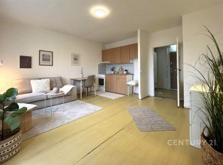 Prodej bytu, 2+kk, 41 m²