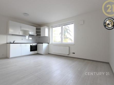 Pronájem bytu, 2+kk, 43 m²
